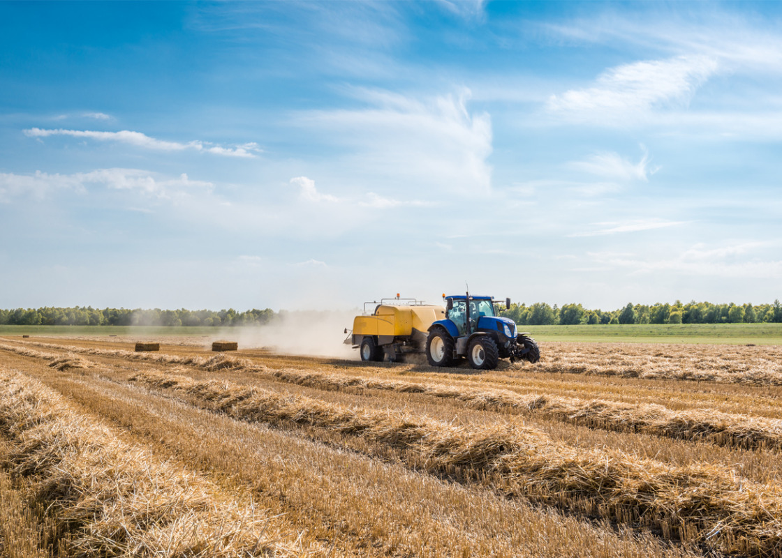 Buchumschlag von Mobilisation de la biomasse agricole